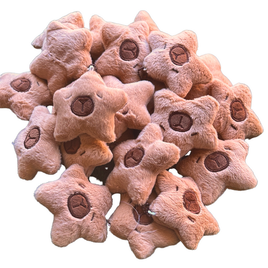 ($1.19) 100pc 4" Capybara Star Faces!! RARE