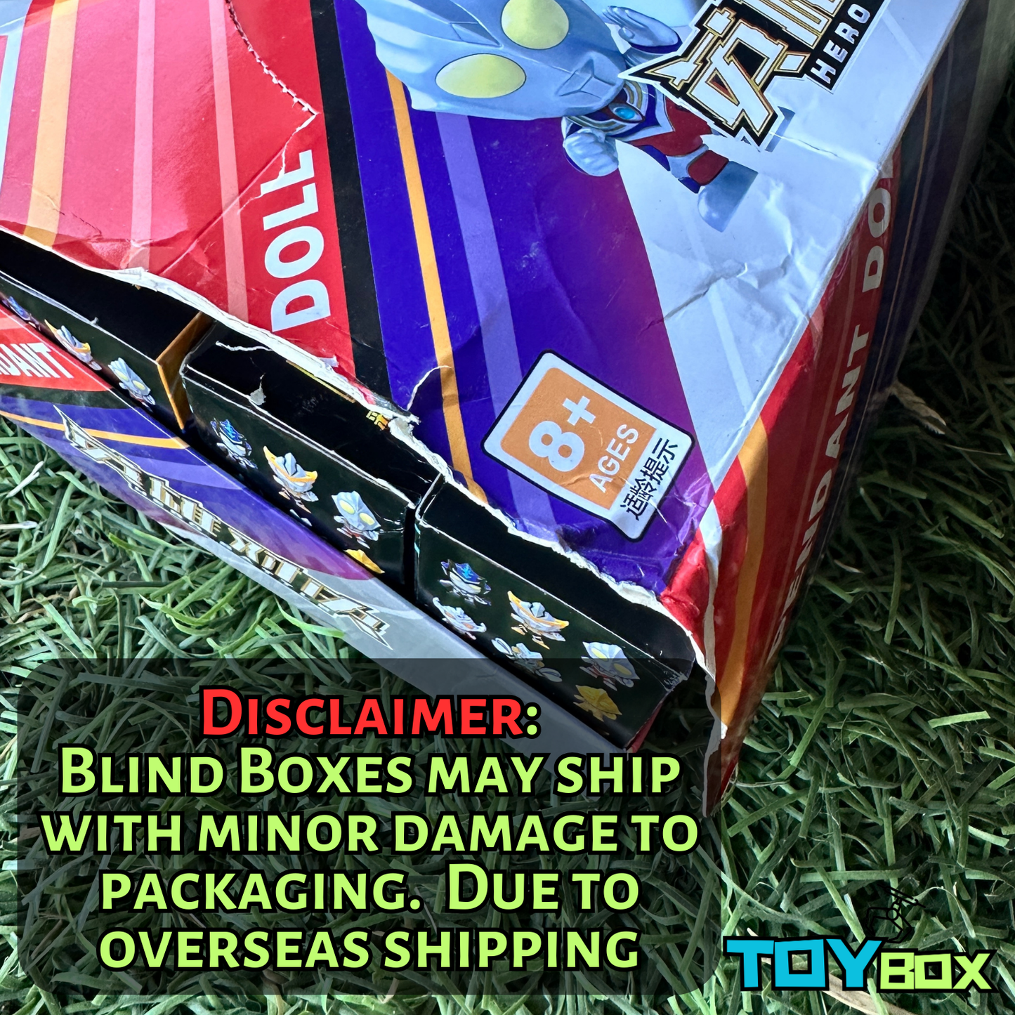 ($.70) 144pc Blind Box Keychains - Capybara! Mystery Box Set