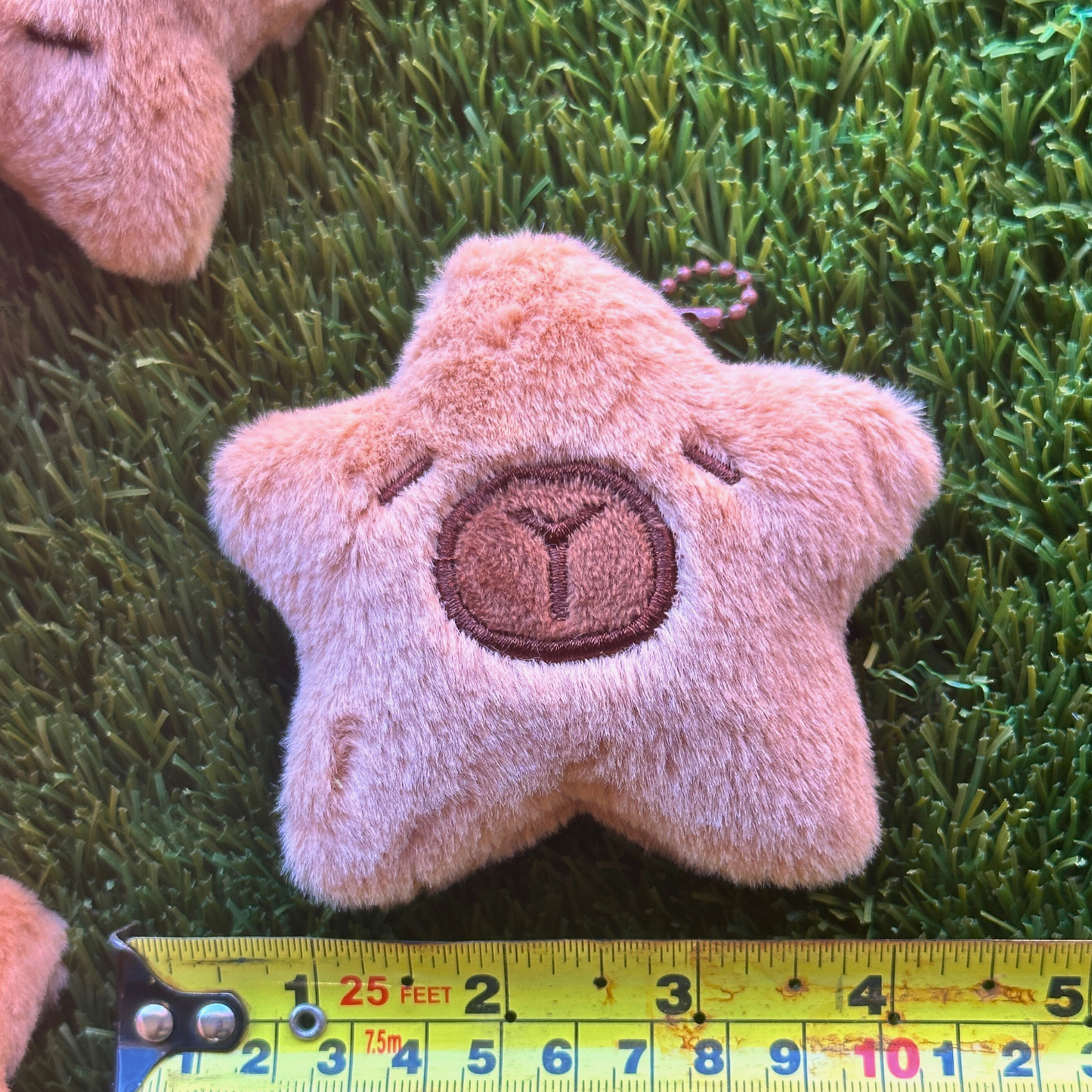 ($1.19) 100pc 4" Capybara Star Faces!! RARE